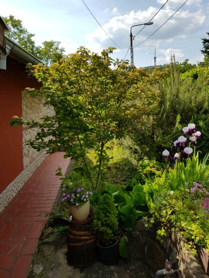 Mediterran Apartman Pecs Luaran gambar